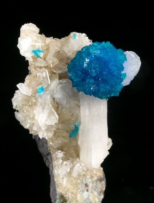 Cavansite on Stilbite - India