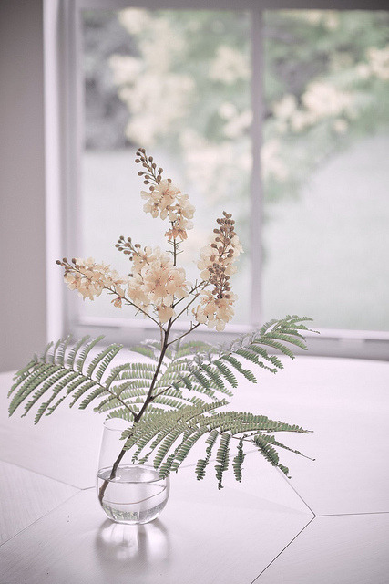 gyclli:untitled by lemank on Flickr.pretty !!
