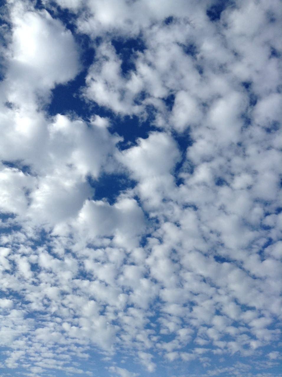 Today’s sky was amazing.
