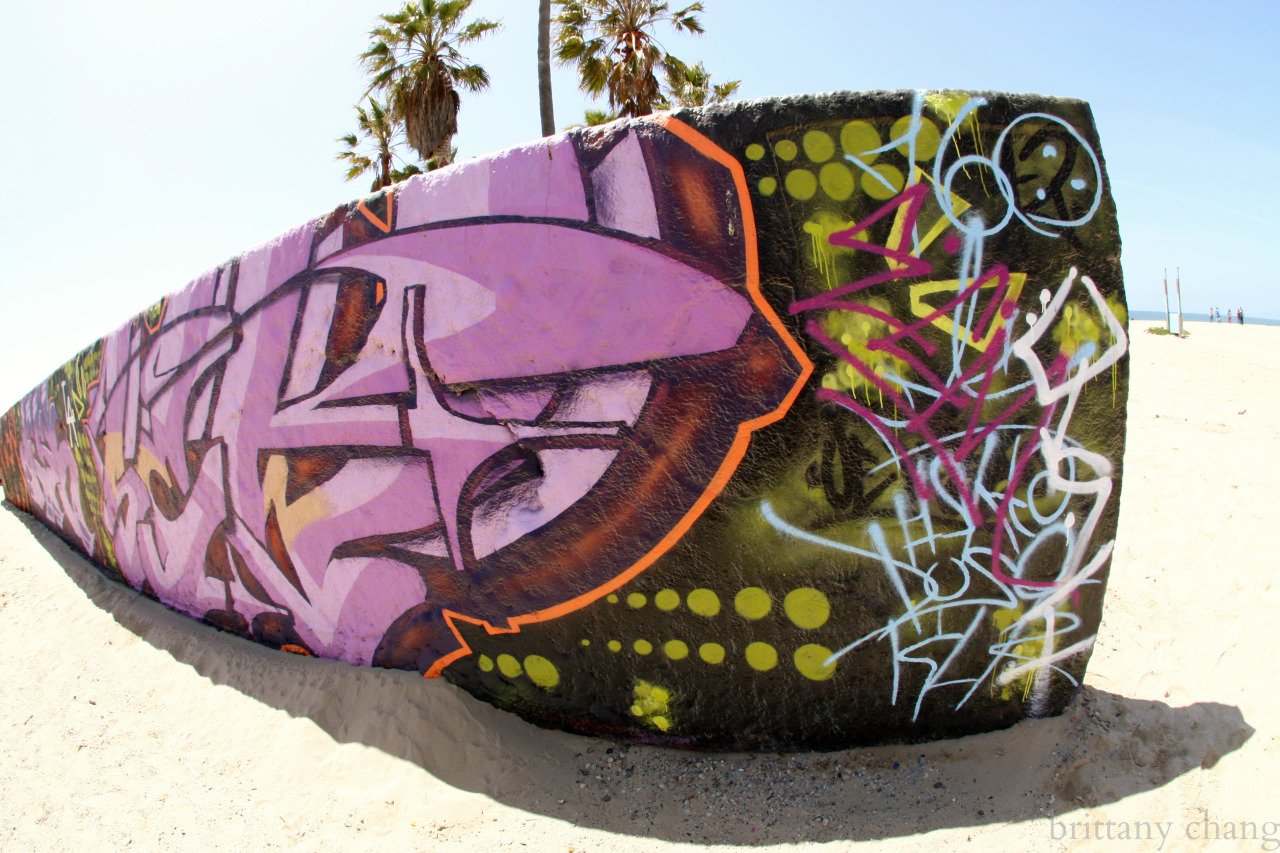 brittanychangphotography:  Venice Beach || Brittany Chang