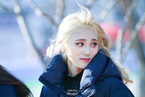 171126 Inkigayo Mini-Fanmeeting© Into our Moonlight ♡ do not edit.