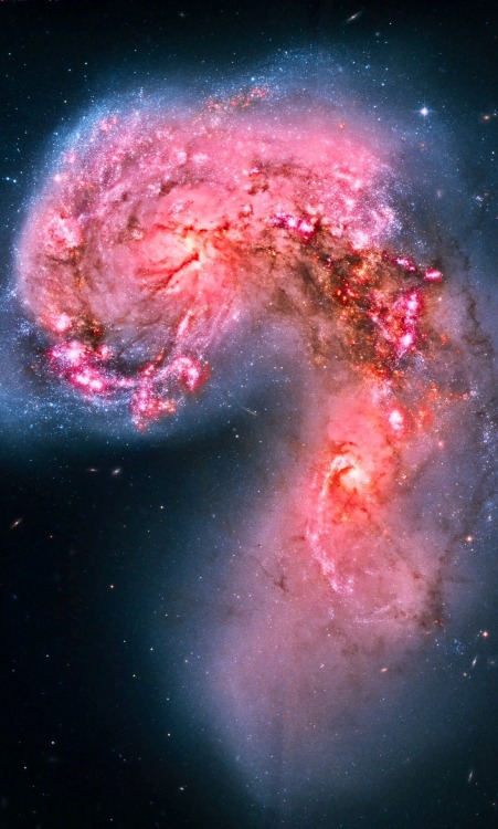 thedemon-hauntedworld: Antennae Galaxy by Hubble The Antennae Galaxies, also known as NGC 4038/NGC 4