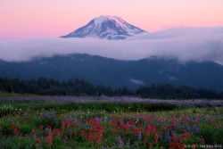 te5seract:    Above the Clouds, Morning View