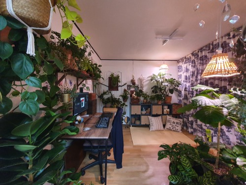 XXX michipichi:soulist-aurora:  GREEN WORKSPACE photo