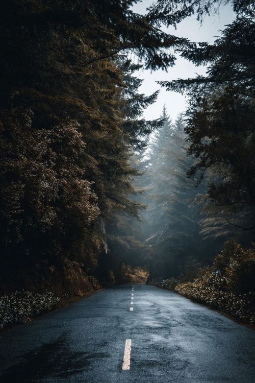 Moody paths in Madeira | ( by Nikolaus )