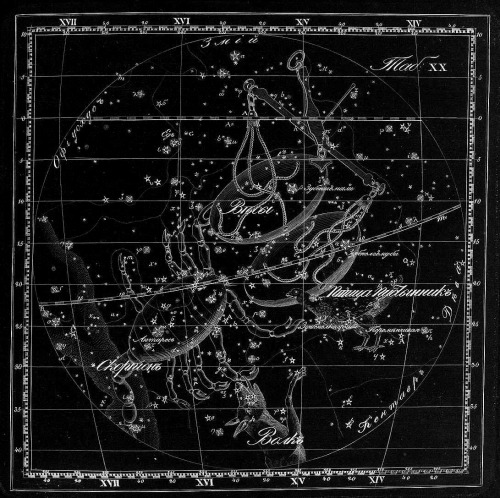 chaosophia218:  Kornelius Reissig - Constellations, “Sozviezdiia Predstavlennyia na XXX Tablitsakh” (Presentation of Constellations in 30 tables), 1829.