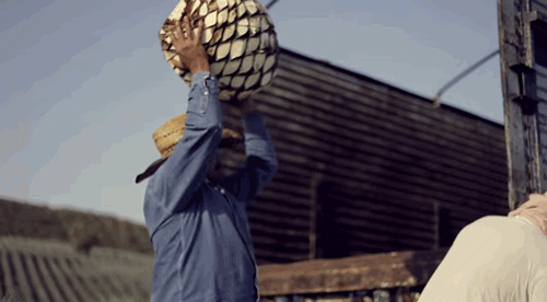 micdotcom:  Watch: Who knew making tequila could be so mesmerizing