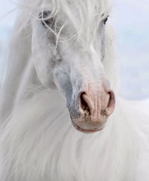 rhianalexandraa:Katarzyna Photography