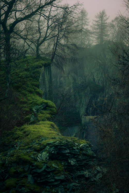tulipnight:  Tilberthwaite by Mark Littlejohn  ❁❁ tropical blog  ❁❁