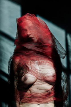 avantgarde-erotica:  Carlo Hermès  