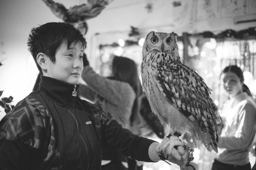 lottaringqvist:  When in Tokyo we visited an owl café. For one hour you were allowed