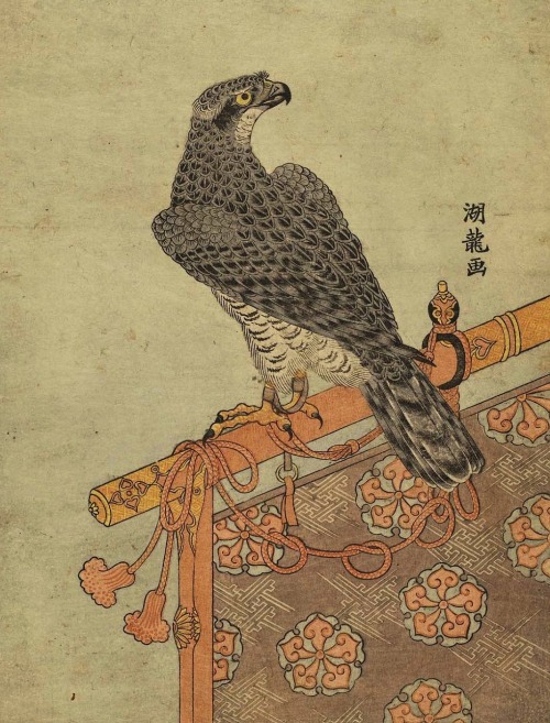 magictransistor:Isoda Koryūsai. Falcon on Perch, c. 1780.