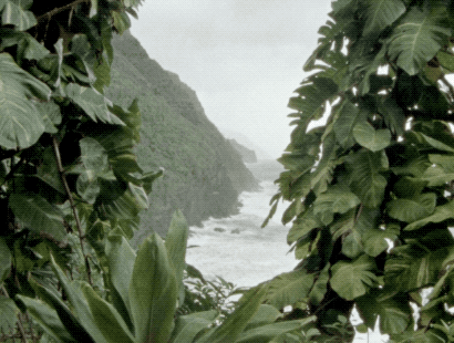 wiissa0:Mãe Terra for Vogue Italia x Yoox by Wiissa