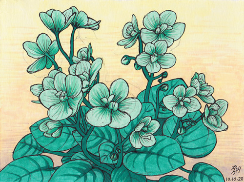 I sketched my african violets about a year ago, and I recently redrew them in my current digital sty