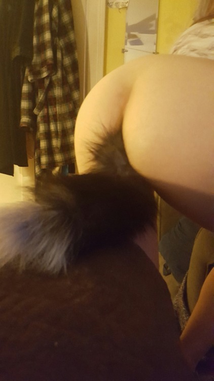 coupleoquirks:😟 my foxtail broke but Master porn pictures