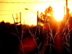 Atardecer en Punta del Este en We Heart It.