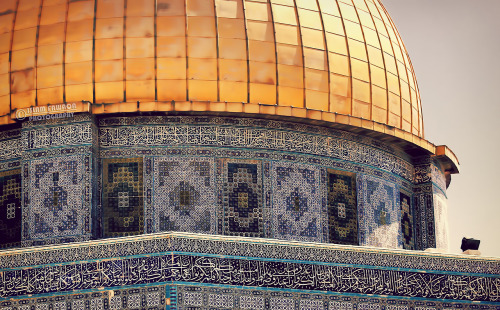 muhammadanmuslim:Islamic Architecture