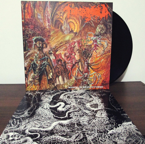 tomb mold