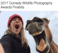 thriveworks:  2017 Comedy Wildlife Photography