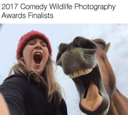 thriveworks: 2017 Comedy Wildlife Photography Awards Finalists (see 7 more)