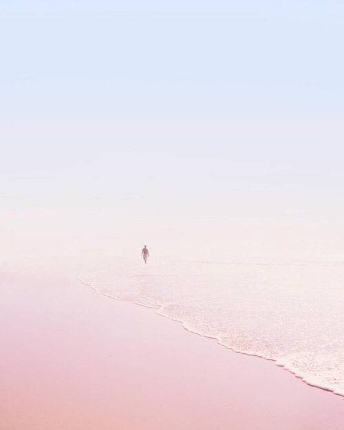 nevver: Isolation Party, Teresa Freitas