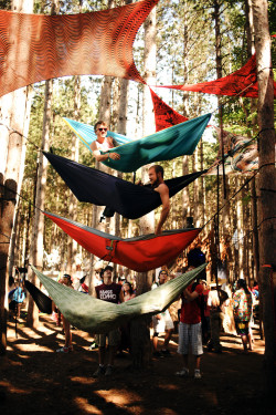 I support hammocks, and they support me.