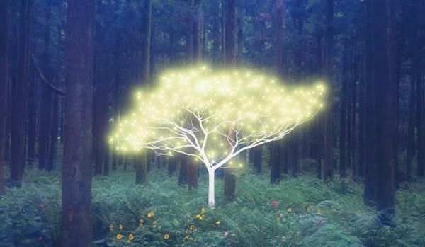 from89:   Tree of Life in Island by Lee Jeong Lok  You Can Also Find Me -: Skumar’s :- Twitter | Facebook | We