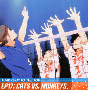 koujis:  HAIKYUU!! TO THE TOP: PART TWO