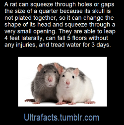 ultrafacts: Source: [x] Follow Ultrafacts