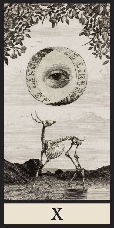 socialpsychopathblr: Ignacio Cobot’s tarot
