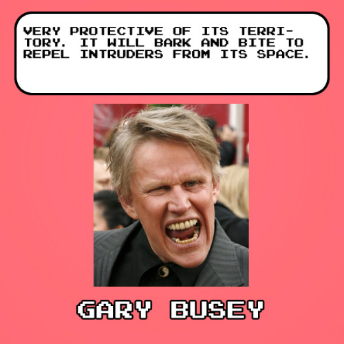 Celebrity Pokedex Entries