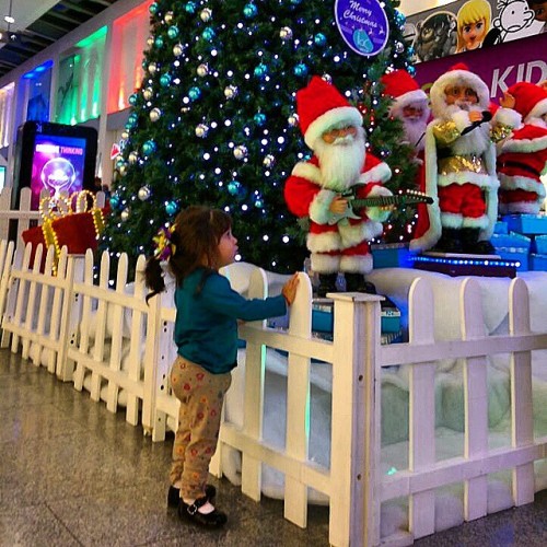 El mismo arbol de hace 1 año, ahora mi hija lo ve en su esplendor, Ilac Center