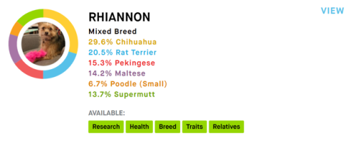 And here’s the results! I had no idea her family history was this complicated! I knew she was unique