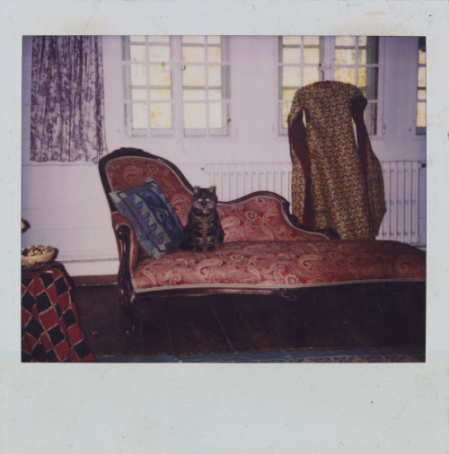 Untitled by Balthus, c. 1999-2000Found via kirgiakos