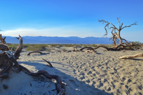 Death Valley National Park - California - USA (by annajewelsphotography) Instagram: annajewels