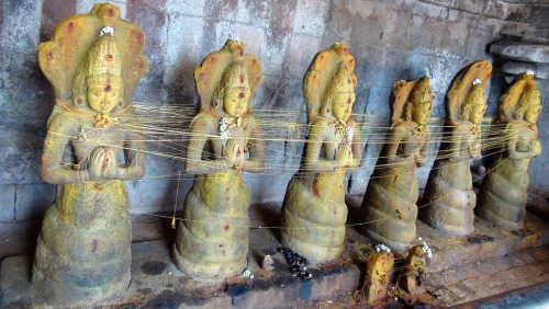 Nagas, Brihadiswara Temploe, Tanjore, Tamil Nadu