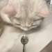 ketaminetears:hun43rd:ethchlorvynol:hun43rd:overt-menstruation:vgpussy:b1rdh34d:swagfulcatcowboy:violet-lavender-fem:swagfulcatcowboy:Girls