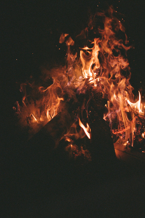 brutalgeneration:  (by zachary ayotte) 