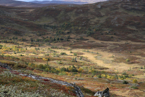 Välliste in Jämtland, Sweden.