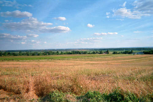 A beautiful day in Zamość, Poland.  August 2020~ Kodak Daylight SUC 800 ASA