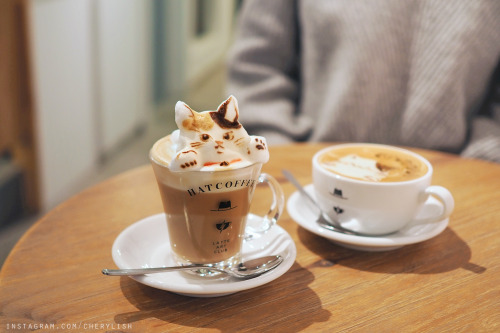 Cat lattes in Kuramae, Tokyo