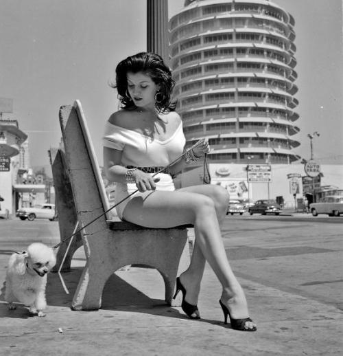 maudelynn: Joan Bradshaw & a friend in Hollywood Sept 8, 1957   Photos by Michael Ochs via Archi