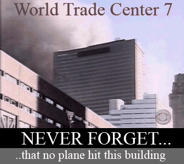 franckthesecond:  real-hiphophead:  WTC 7 was the third building that “collapsed” on 9/11. This “collapse”, which took place at nearly free-fall speed and looks exactly like a controlled demolition, was supposedly caused by fires started from