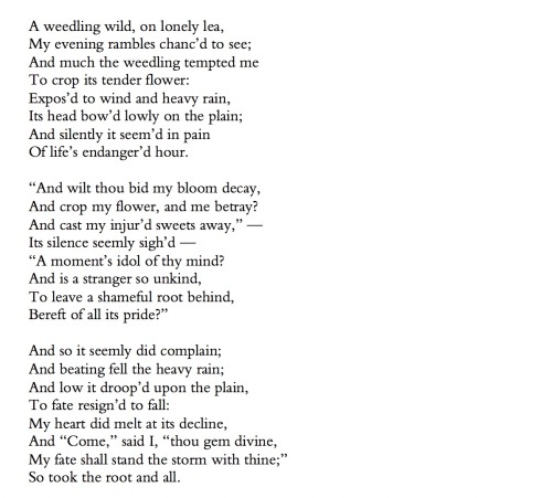 John Clare, ‘Ballad: A Weedling Wild, on Lonely Lea’, from The Village Minstrel, and Other Poems (18