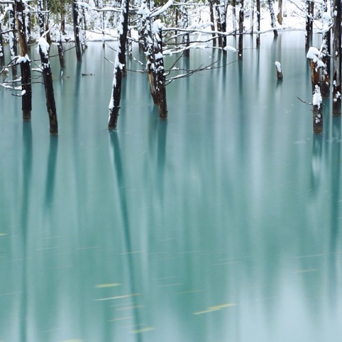 instagram:Hokkaido, Japan’s Iridescent Blue Pond (青い池)See more photos from Hokkaido’s Blue Pond by v