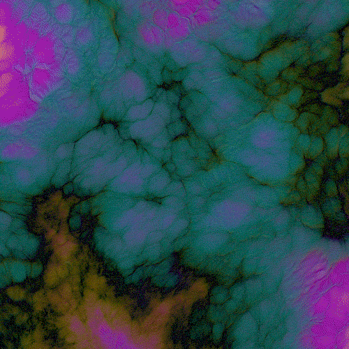 Protobacillus