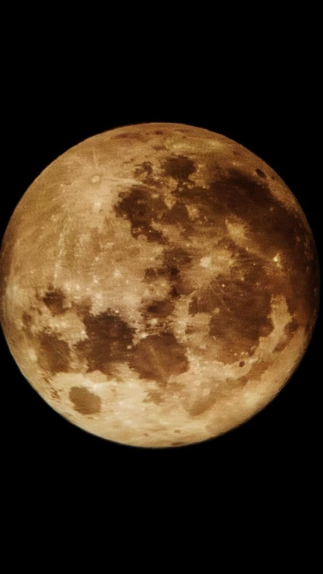 amvrleig:harvest full moon.cred. haylin etheridge via fb. 