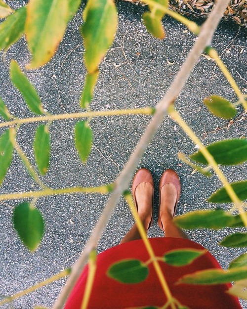 #fromwhereistand #ihavethisthingwithfloors #trinidad #trinidadandtobago #earthfocus #forgeyourownpat