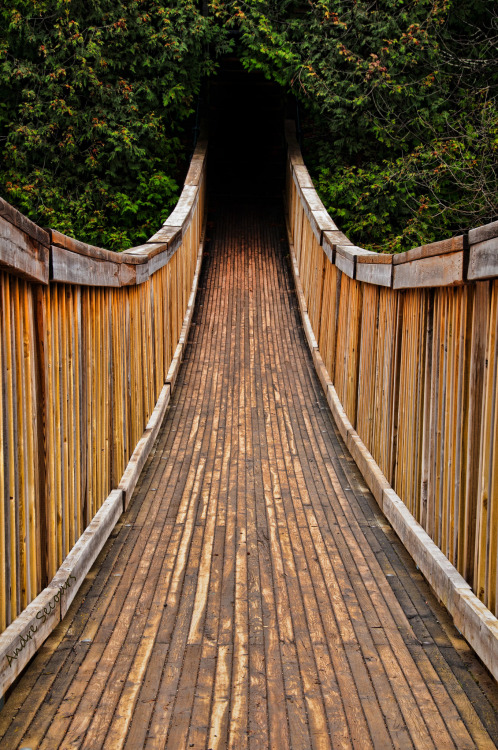 oh-haroo:  Follow me for more vertical nature and landscape! 