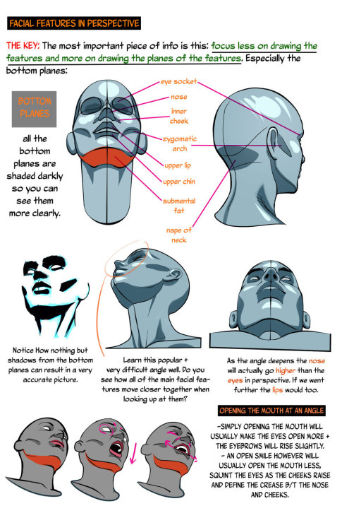 help-me-draw:   HEADS UP: Drawing the Head from a low angle by NemoNova on DeviantArt